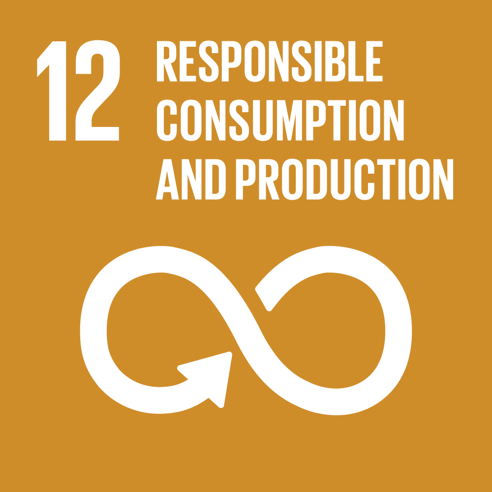Goal 12: Ensure sustainable consumption and production patterns