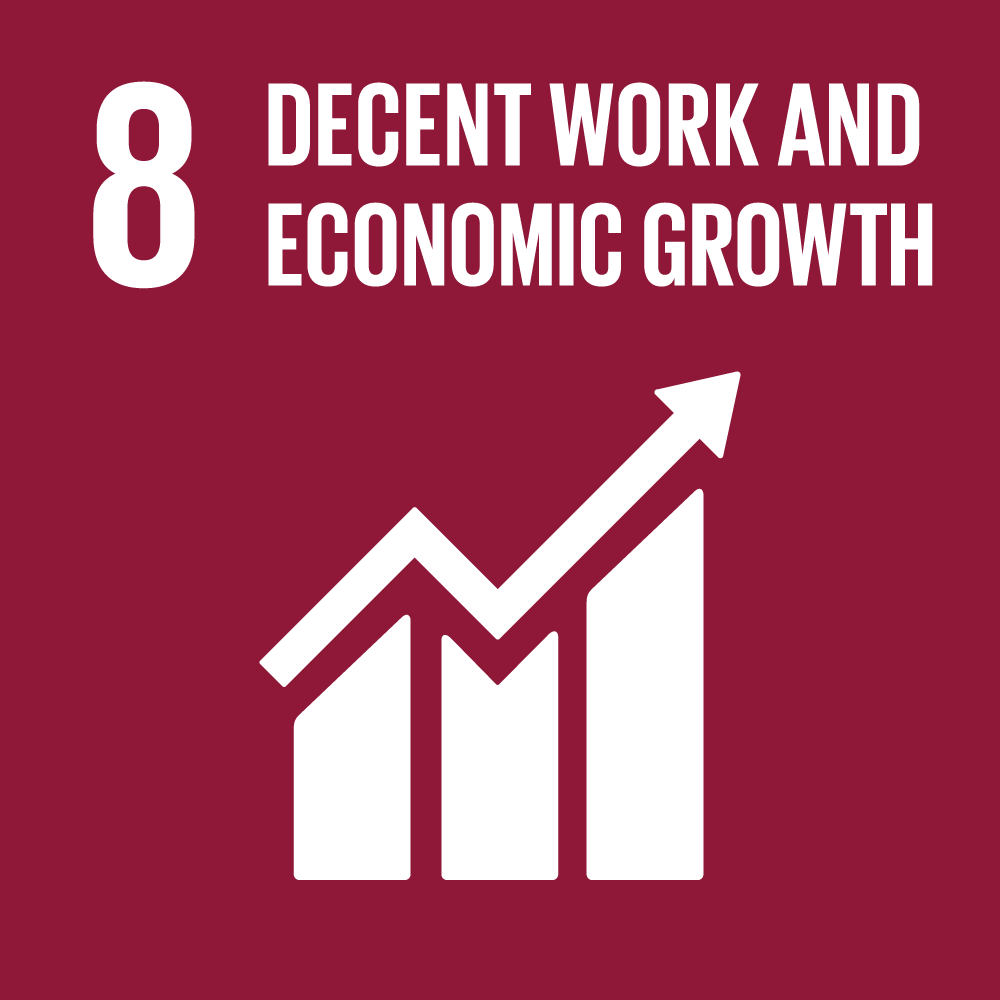 Goal 8: Decent work and economic growth